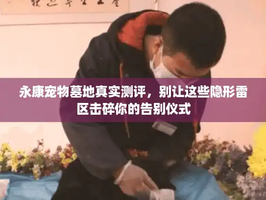 永康宠物墓地真实测评，别让这些隐形雷区击碎你的告别仪式