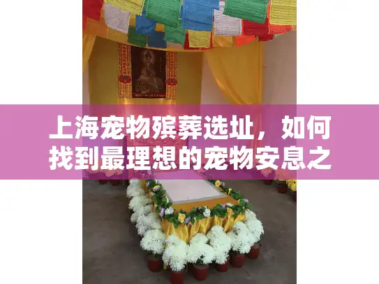 上海宠物殡葬选址，如何找到最理想的宠物安息之地？