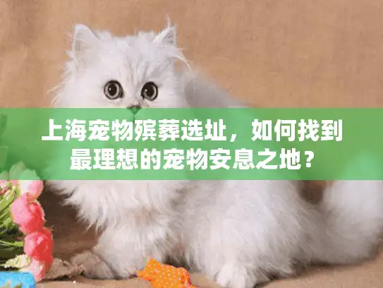 上海宠物殡葬选址，如何找到最理想的宠物安息之地？