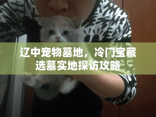 辽中宠物墓地，冷门宝藏选墓实地探访攻略