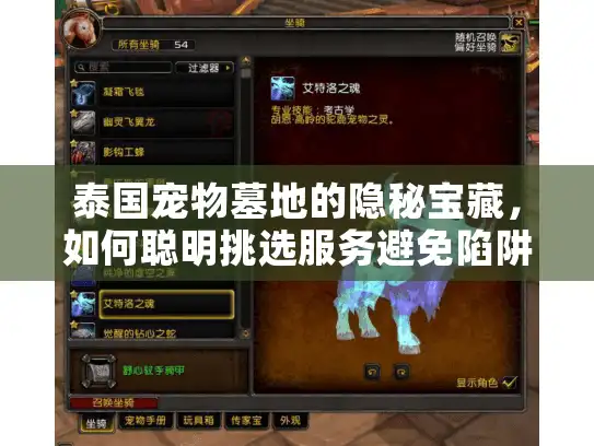 泰国宠物墓地的隐秘宝藏，如何聪明挑选服务避免陷阱