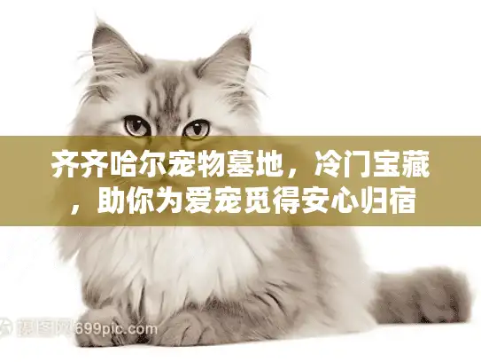 齐齐哈尔宠物墓地，冷门宝藏，助你为爱宠觅得安心归宿