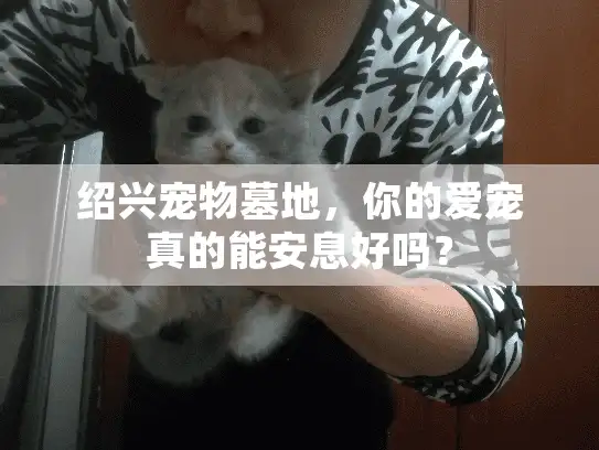 绍兴宠物墓地，你的爱宠真的能安息好吗？