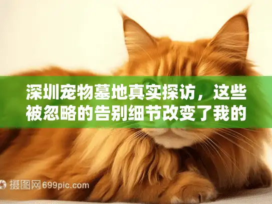 深圳宠物墓地真实探访，这些被忽略的告别细节改变了我的选择