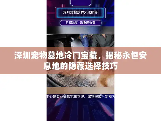 深圳宠物墓地冷门宝藏，揭秘永恒安息地的隐藏选择技巧