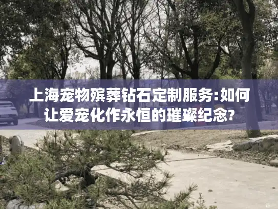 上海宠物殡葬钻石定制服务:如何让爱宠化作永恒的璀璨纪念?
