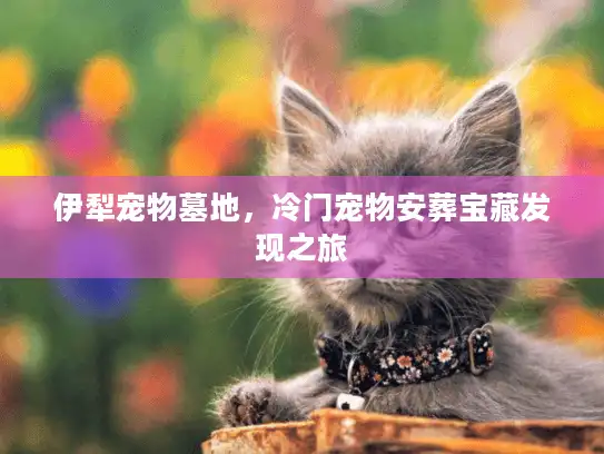 伊犁宠物墓地，冷门宠物安葬宝藏发现之旅