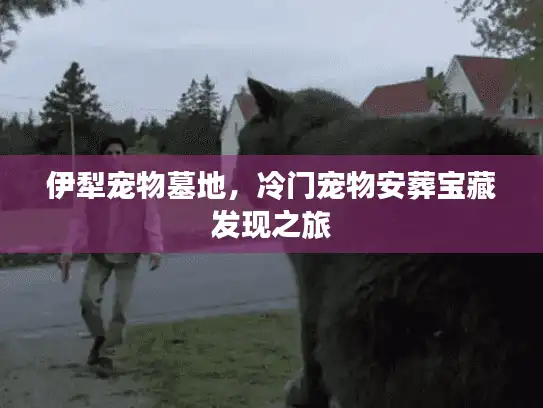 伊犁宠物墓地，冷门宠物安葬宝藏发现之旅