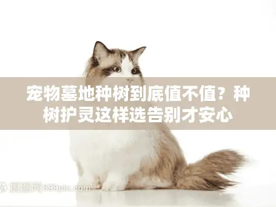 宠物墓地种树到底值不值？种树护灵这样选告别才安心