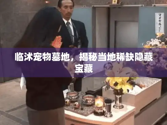 临沭宠物墓地，揭秘当地稀缺隐藏宝藏
