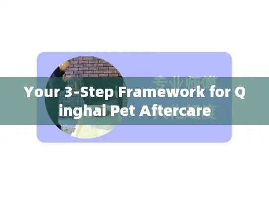 Your 3-Step Framework for Qinghai Pet Aftercare