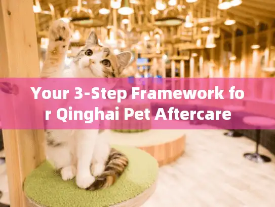Your 3-Step Framework for Qinghai Pet Aftercare