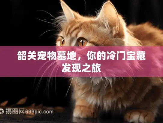 韶关宠物墓地，你的冷门宝藏发现之旅