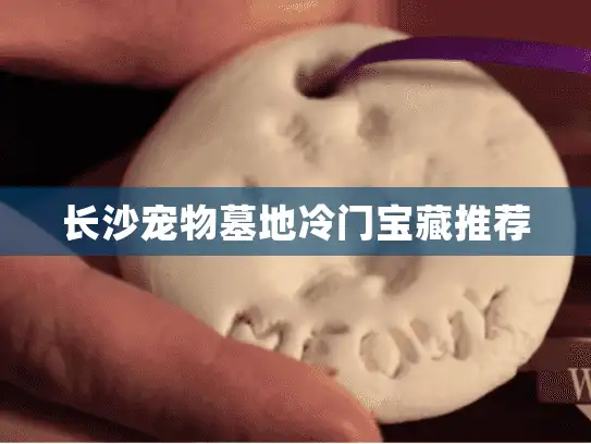 长沙宠物墓地冷门宝藏推荐