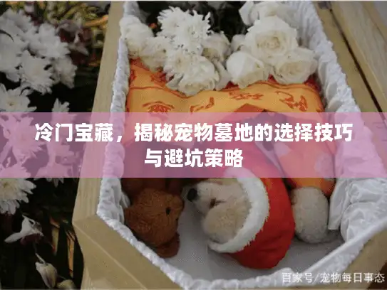 冷门宝藏，揭秘宠物墓地的选择技巧与避坑策略