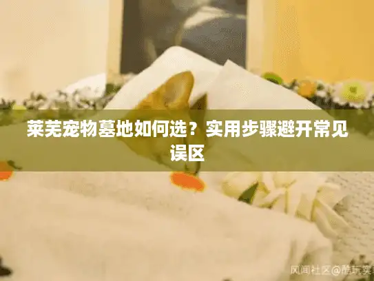莱芜宠物墓地如何选？实用步骤避开常见误区