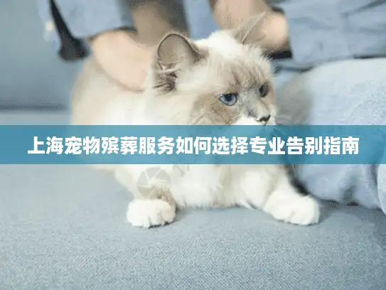 上海宠物殡葬服务如何选择专业告别指南