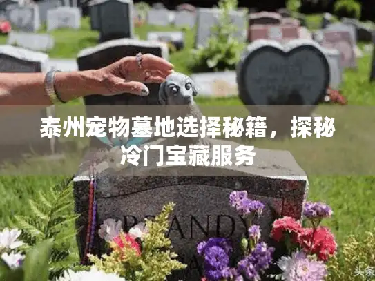 泰州宠物墓地选择秘籍，探秘冷门宝藏服务