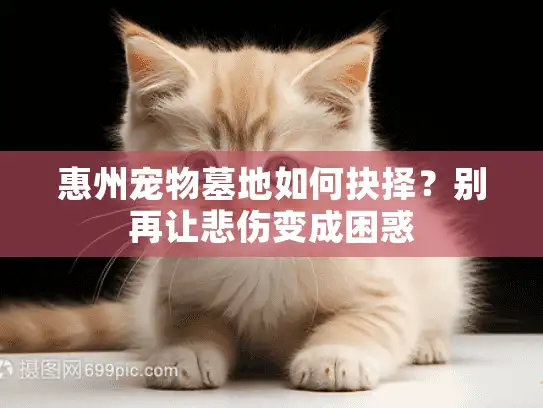 惠州宠物墓地如何抉择？别再让悲伤变成困惑