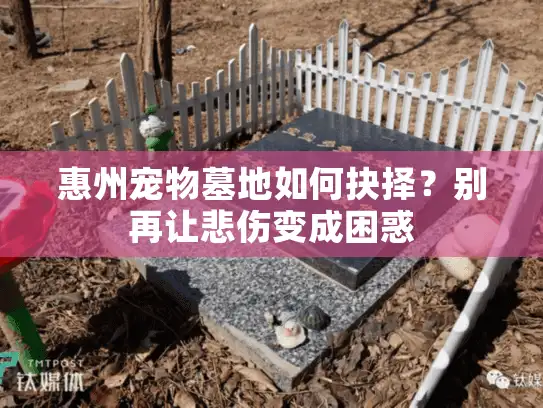 惠州宠物墓地如何抉择？别再让悲伤变成困惑