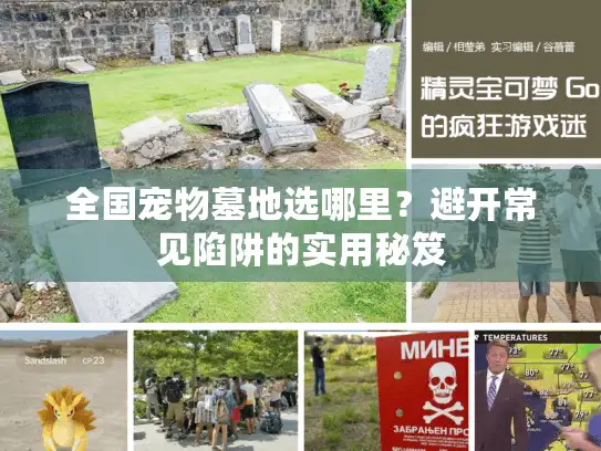 全国宠物墓地选哪里？避开常见陷阱的实用秘笈