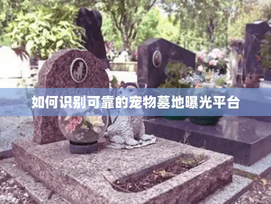 如何识别可靠的宠物墓地曝光平台