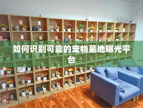 如何识别可靠的宠物墓地曝光平台