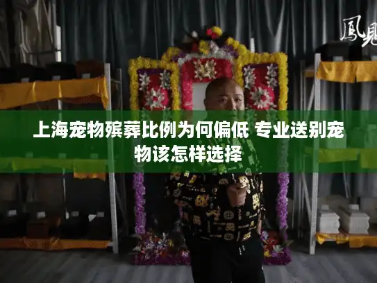 上海宠物殡葬比例为何偏低 专业送别宠物该怎样选择