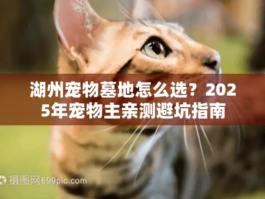 湖州宠物墓地怎么选？2025年宠物主亲测避坑指南