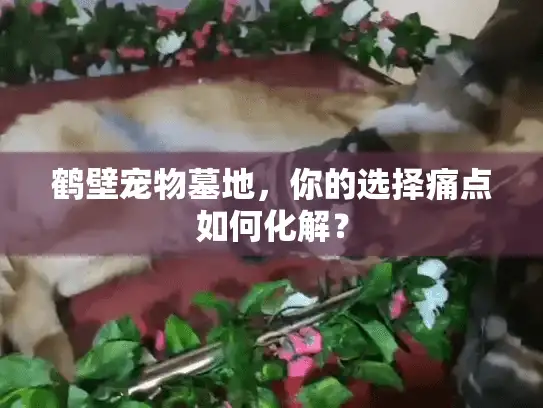 鹤壁宠物墓地，你的选择痛点如何化解？