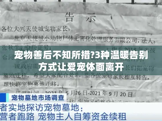 宠物善后不知所措?3种温暖告别方式让爱宠体面离开