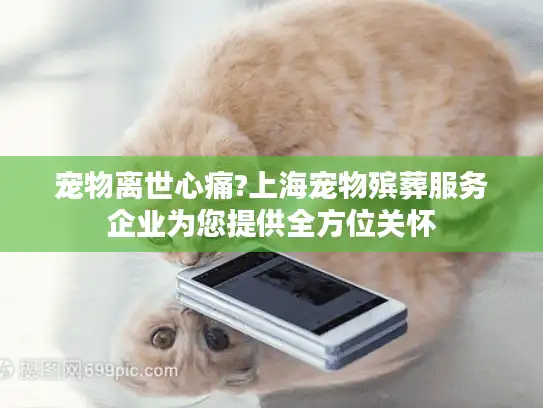 宠物离世心痛?上海宠物殡葬服务企业为您提供全方位关怀
