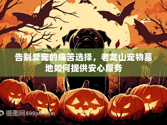 告别爱宠的痛苦选择，老龙山宠物墓地如何提供安心服务