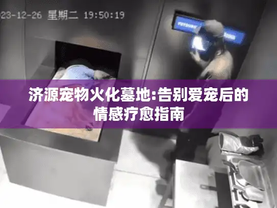 济源宠物火化墓地:告别爱宠后的情感疗愈指南