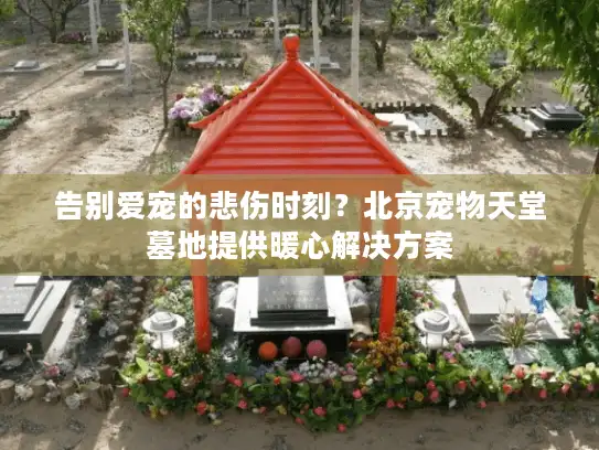 告别爱宠的悲伤时刻？北京宠物天堂墓地提供暖心解决方案