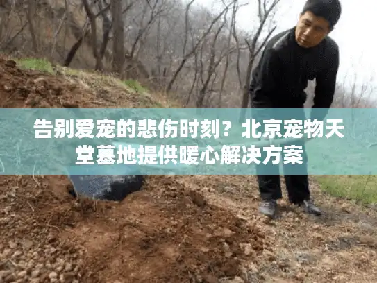告别爱宠的悲伤时刻？北京宠物天堂墓地提供暖心解决方案