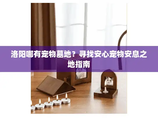洛阳哪有宠物墓地？寻找安心宠物安息之地指南