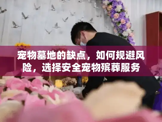 宠物墓地的缺点，如何规避风险，选择安全宠物殡葬服务