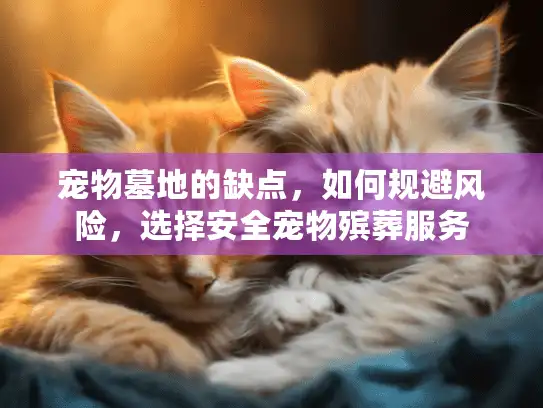 宠物墓地的缺点，如何规避风险，选择安全宠物殡葬服务