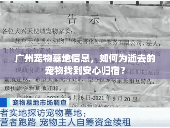 广州宠物墓地信息，如何为逝去的宠物找到安心归宿？