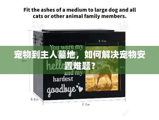 宠物到主人墓地，如何解决宠物安置难题？