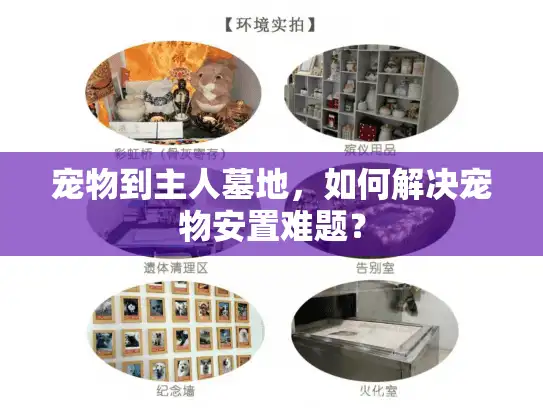 宠物到主人墓地，如何解决宠物安置难题？