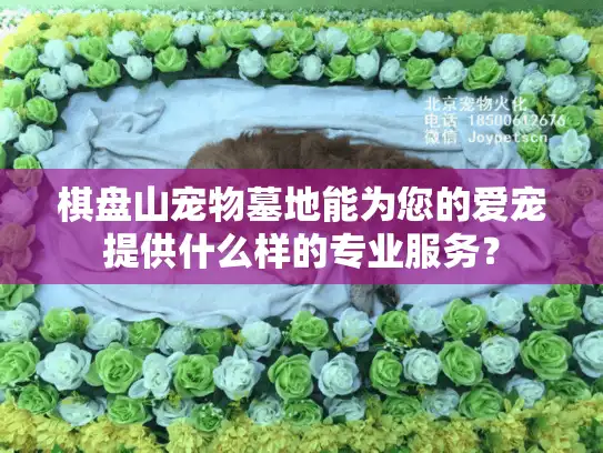 棋盘山宠物墓地能为您的爱宠提供什么样的专业服务？