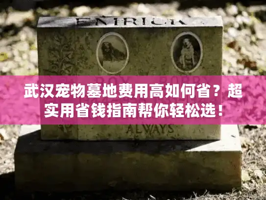 武汉宠物墓地费用高如何省？超实用省钱指南帮你轻松选！