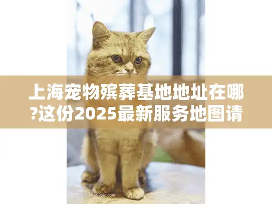 上海宠物殡葬基地地址在哪?这份2025最新服务地图请收好