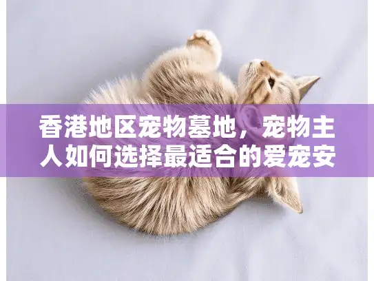 香港地区宠物墓地，宠物主人如何选择最适合的爱宠安息地？