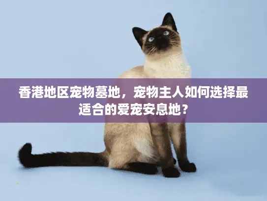 香港地区宠物墓地，宠物主人如何选择最适合的爱宠安息地？