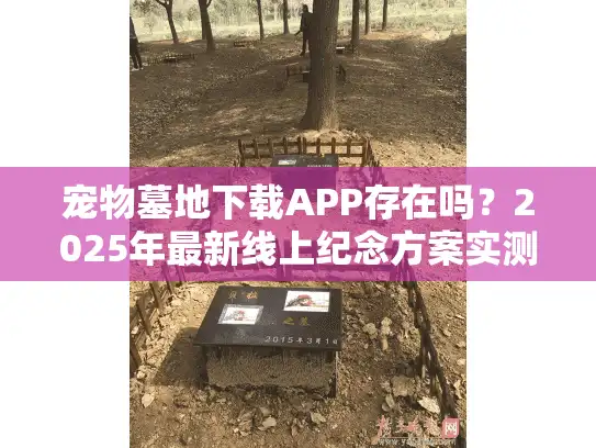 宠物墓地下载APP存在吗？2025年最新线上纪念方案实测