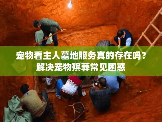 宠物看主人墓地服务真的存在吗？解决宠物殡葬常见困惑