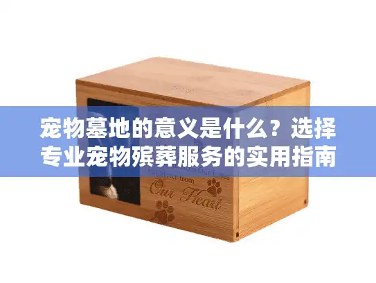 宠物墓地的意义是什么？选择专业宠物殡葬服务的实用指南